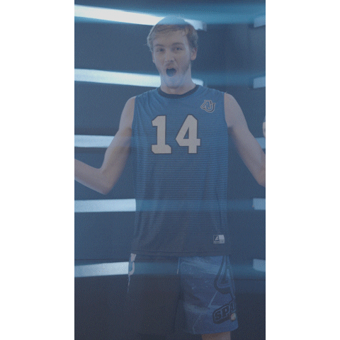 Aumensvolleyball Sticker by Aurora University Men's Volleyball