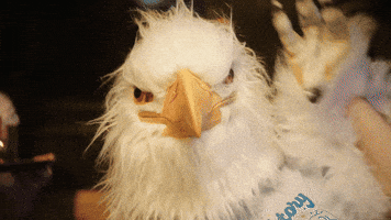 December5 GIF by RepealDay