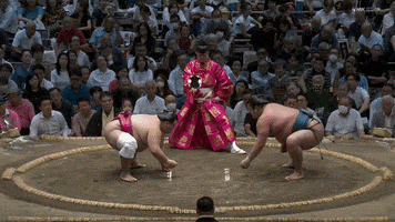 Sumo GIF