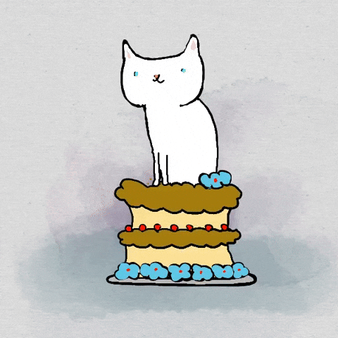 Happy Birthday Cat GIF by Kimmy Ramone - Find & Share on GIPHY