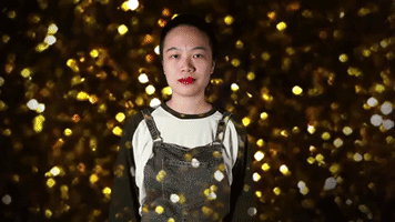 XVK art music animals money GIF