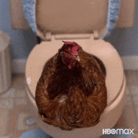 Family Chicken GIF by HBO Max