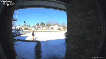 Grandson And Daughter Fall On Same Icy Spot GIF by ViralHog