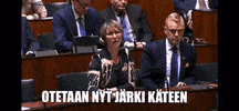 Kristillisdemokraatit GIF