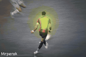 Fans Brazil GIF