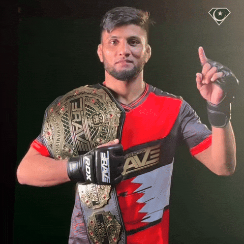 Ufc Mma GIF
