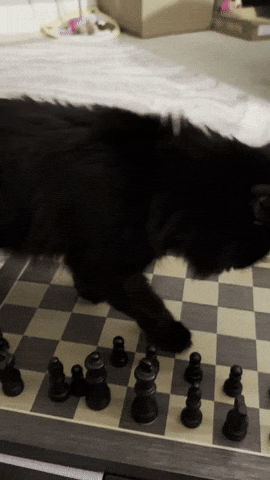 Misspaneer GIF