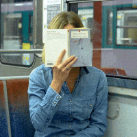 RATP-subway-ratp-mtro-AaKrNL2IVmPiGnnjRJ