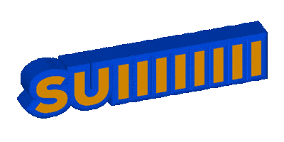 Suiiiiiiii Sticker
