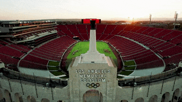 Fight On Los Angeles GIF by USC Trojans