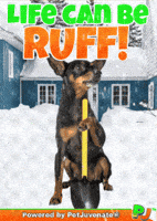 Henlo Hooman Fren GIF by PetJuvenate - PJ