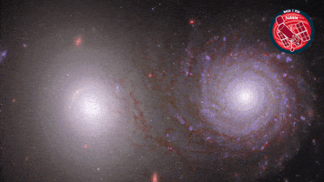 Watching James Webb GIF by ESA/Hubble Space Telescope