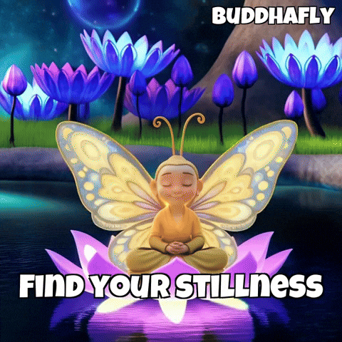 Peace Meditation GIF by BuddhaFlyJourney