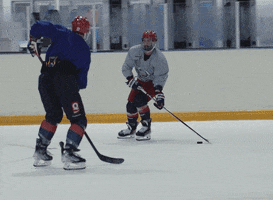 Hockey Ice GIF by Bulldogs Liège