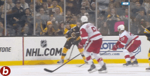 bruins