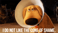 doug from up gif