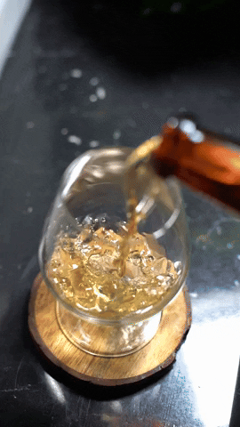 Party Cheers GIF by Barbancourt