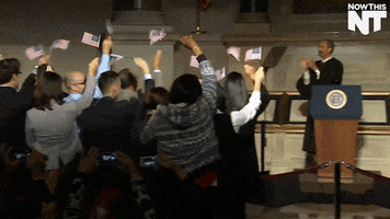 happy america GIF by NowThis 