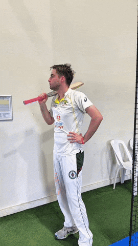 Cricket GIF
