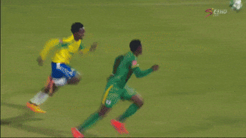 sportlifebet  GIF