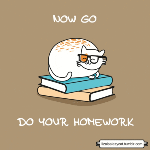 homework gif tumblr