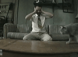 Charlie Day Cat GIF by Maudit - Find & Share on GIPHY