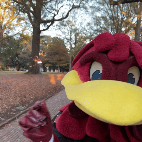 Celebrate New Years GIF by University of South Carolina