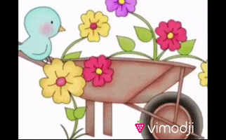 First Of May GIF by Vimodji