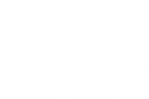 Volleyball Mindset Sticker by Zoi