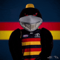 party afl GIF by Adelaide Crows