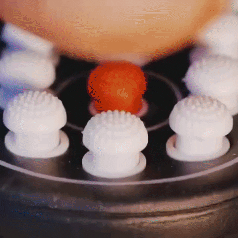 Magic GIF