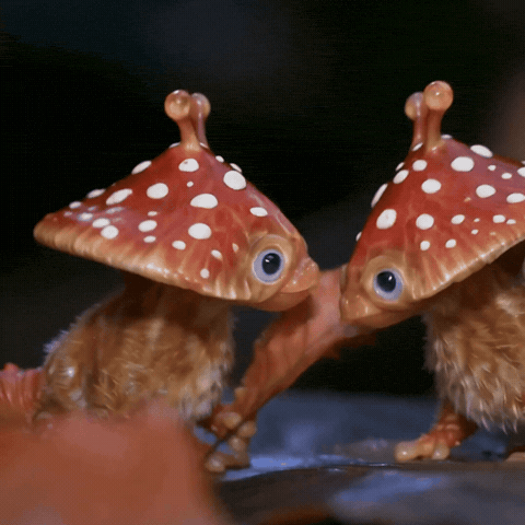 Give Me Fight GIF