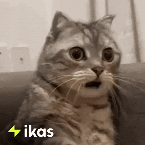 Cat Wow GIF by ikas