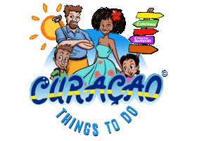 Dolphin Academy Sticker