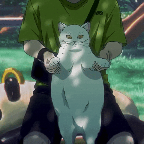 Hikaru GIF