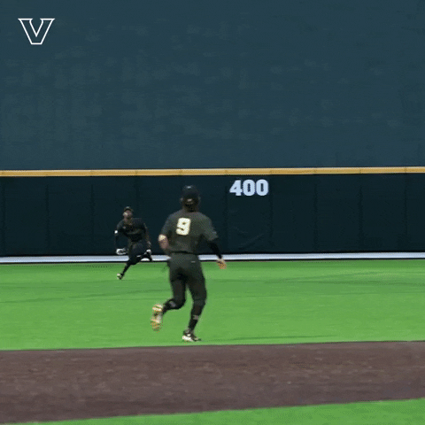Happy Lets Go GIF by Vanderbilt Athletics