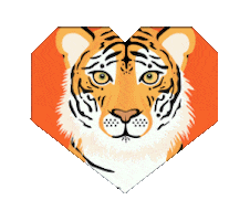 Big Cats Tiger Sticker by Pantheracats
