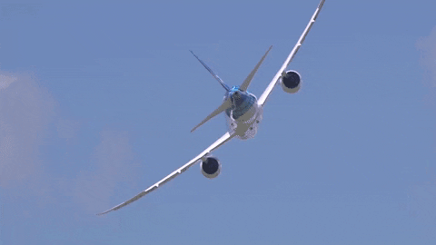 Plane-in-sky-flying GIFs - Get the best GIF on GIPHY
