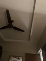 Ceiling Shake Gifs Get The Best Gif