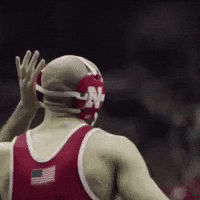 Wrestling GIF