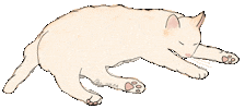 Cat Justin Sticker