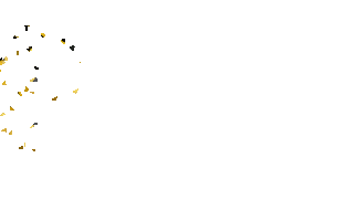 Mussa Beauty Sticker