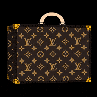 Louis Vuitton Luxury Brand GIF - Louis Vuitton Luxury Brand Bags