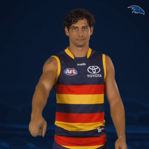 Mcadam GIF by Adelaide Crows