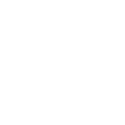 napse Sticker