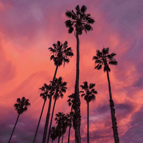 Los Angeles Love GIF by rockyrosemusic