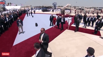 francescofrenk  GIF