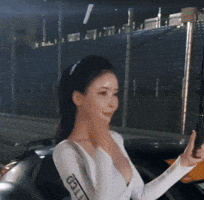 Model GIF