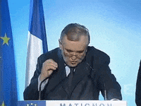 jean-pierre-raffarin-AsKZWkCJGDamY