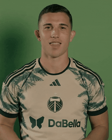 Mls Construction GIF by Timbers